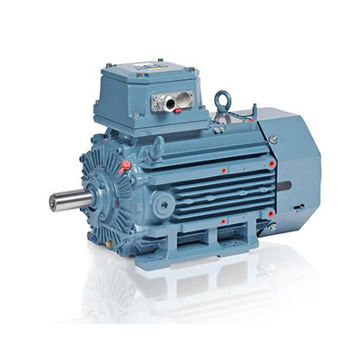 ABB Motor For Hazardous Area - First Fame Systems